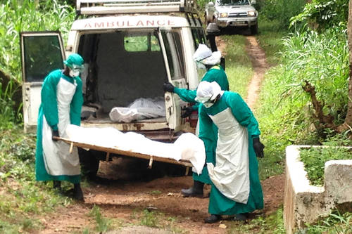 Guinea Celebrates Ebola Vaccine Successes