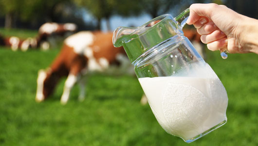 Research Shows Leaders In Africa Dairy Product Market by Revenue