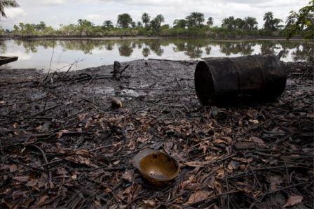 Niger Delta Ecosystem Under Huge Threat—Kachikwu