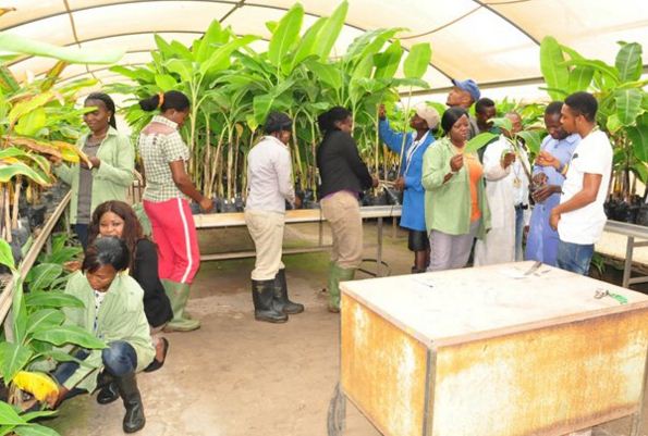 College Trains 1500 Youths On Plant Production