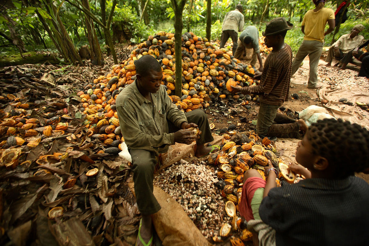 cocoa-farmers