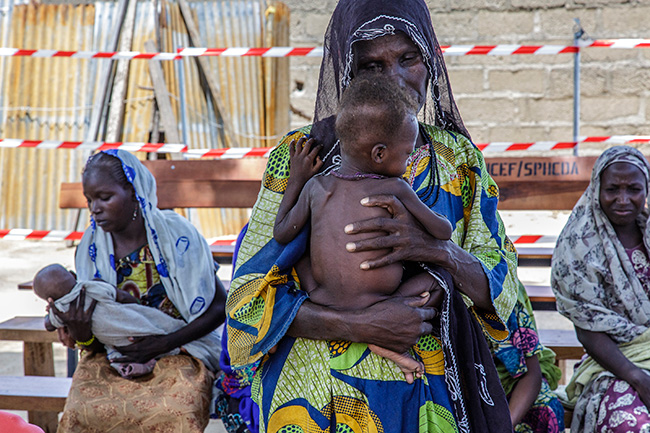 FG Begins Health & Nutrition Emergency Response In Borno