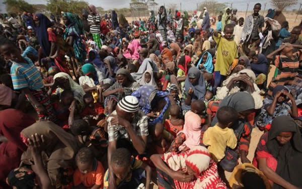 UNHCR Seeks $157m for Boko Haram Victims