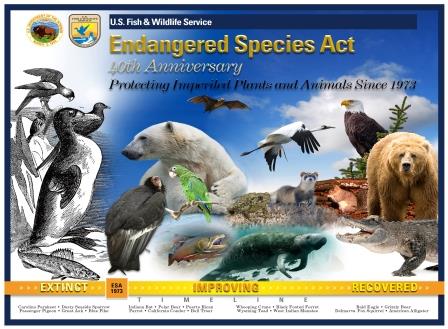 Buhari Signs Endangered Species Act Into Law