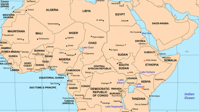 INTERPOL Nabs Criminals Across West Africa Borders