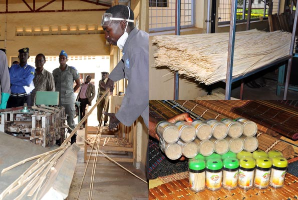 250 Graduates Set Up Toothpick Factory in Ondo