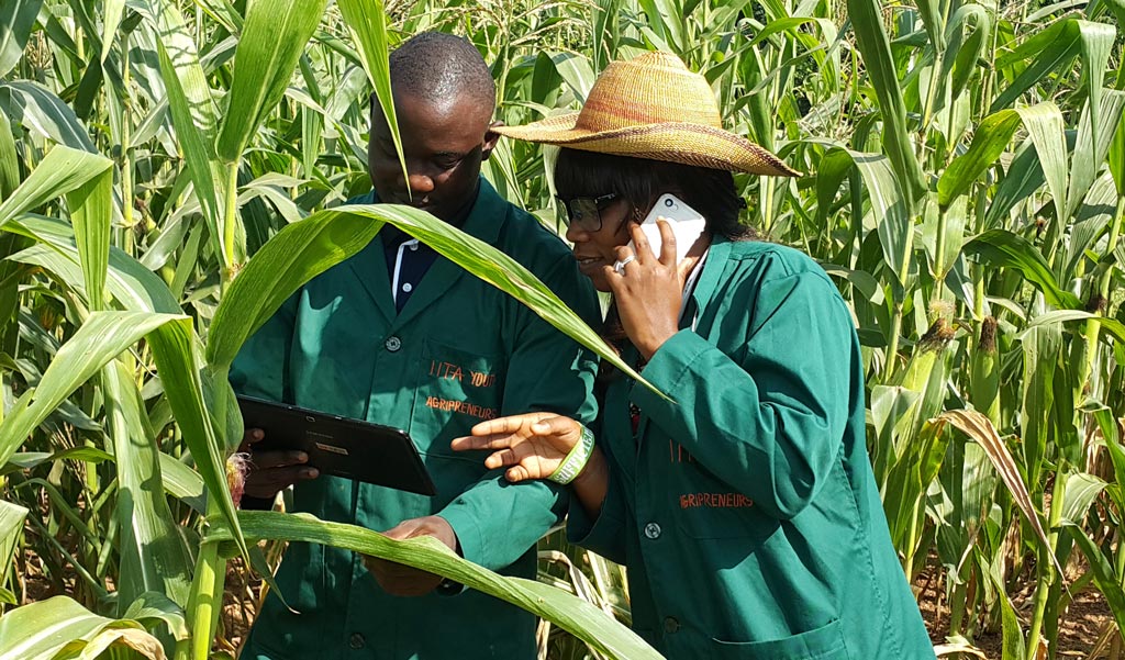IITA-Zambia to Get New Modern Maize Seed Storage Facility