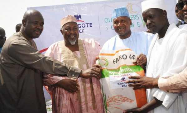 Dangote to Unveil Rice Outgrower Scheme in Sokoto