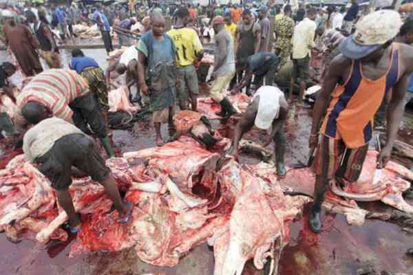 400 Lagos Butchers Trained in Abattoir Management