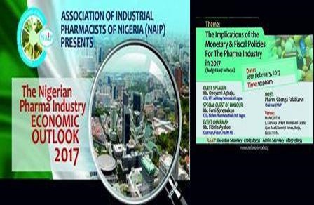 NAIP Bi-Monthly Meeting Debuts in Lagos