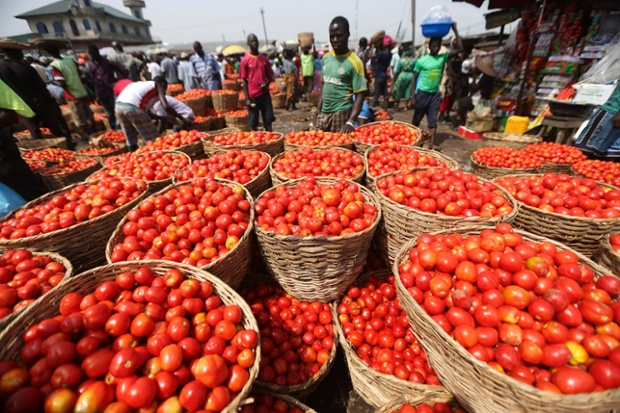 FG Plans to Raise Import Duty on Tomato
