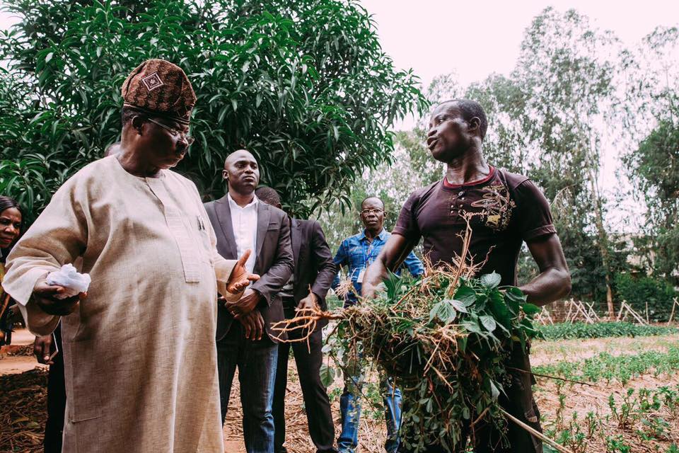 Ajimobi Vows to Replicate Songhai Integrated Farms