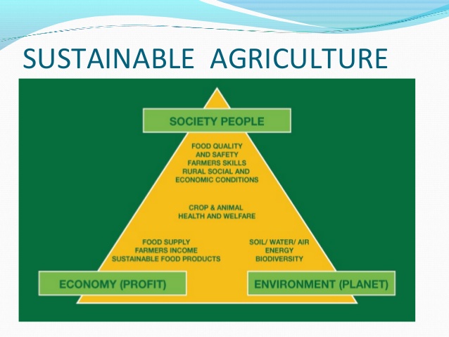 Experts Brainstorm on Sustainable Agric System