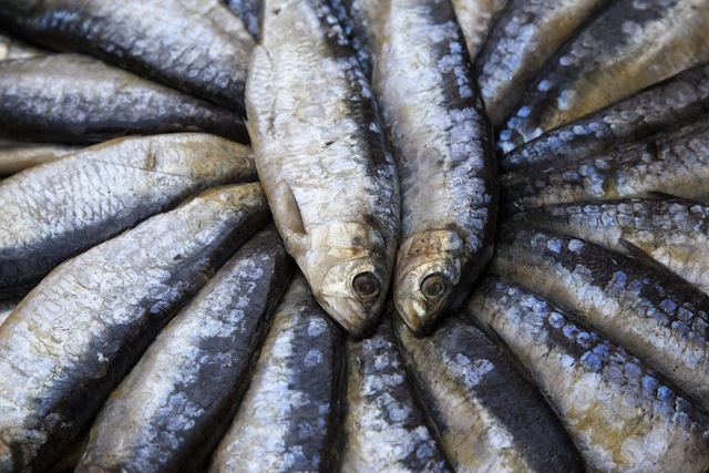 FG Increases Fish Supply to 1.1m Metric Tonnes