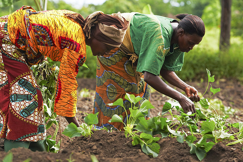 Buhari Gives Women Farmers Rice Mills, Fish Driers