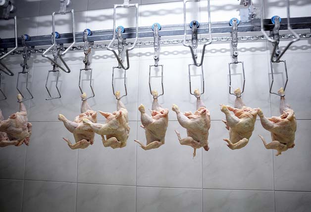 FG Gives Abia Community Poultry Processing Mill