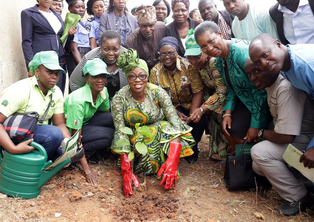 Lagosians Tasked to Imbibe Tree Planting Culture