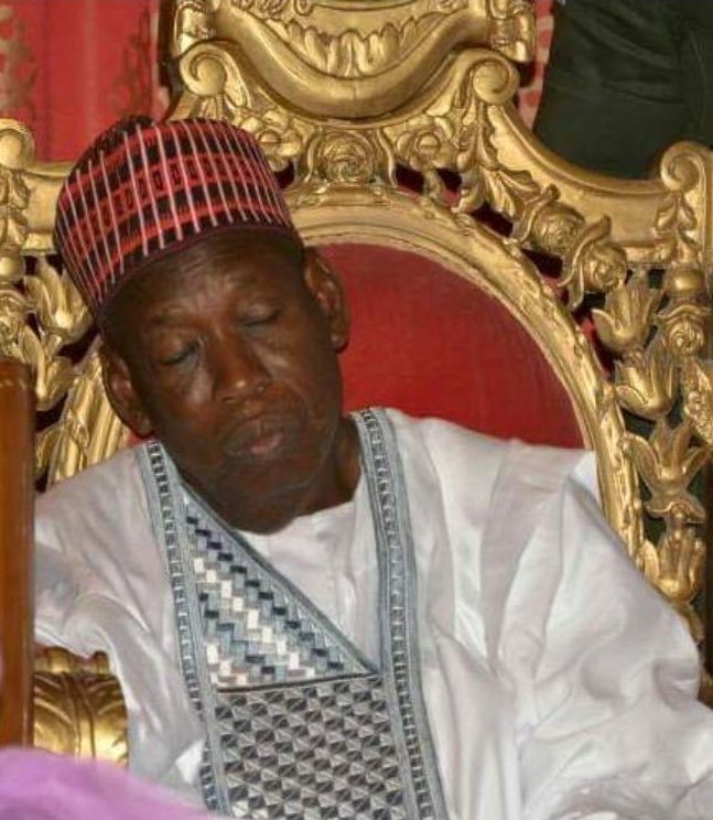 I Only Pretend to Sleep at Public Functions—Kano Governor