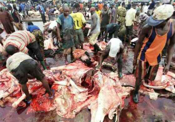 Meat Scarcity Hits Yola over Butchers’ Election