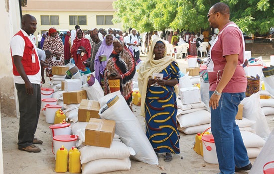 Court Jails Borno Politician over Sale of IDPs Rice