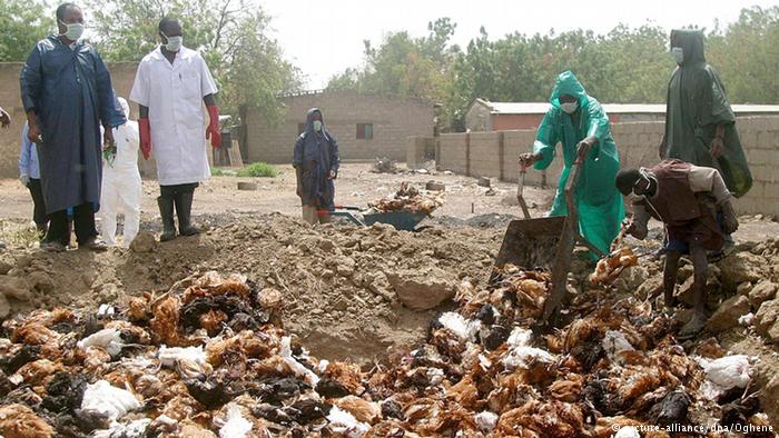 S/Africa Authorities Meet Media on Avian Influenza Outbreak