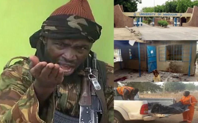 UN Condemns Borno Suicide Bombing Attacks