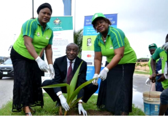 Ecobank Plants 500 Coconut Tree Seedlings in Lagos