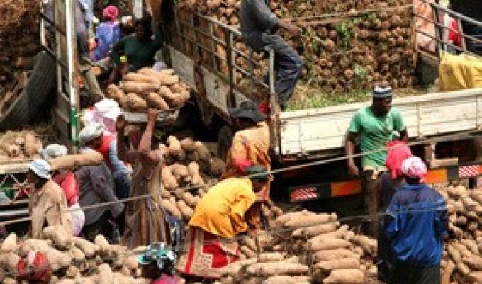 Yam Export Won't Cause Scarcity in Nigeria—Ogbeh Assures