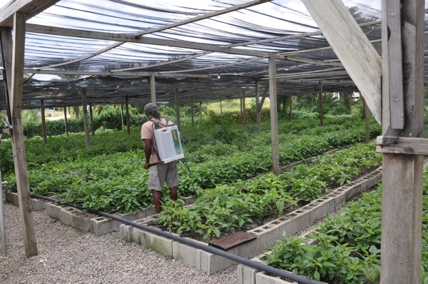 Mahindra Begins Farm-To-Folk Initiative in Nigeria