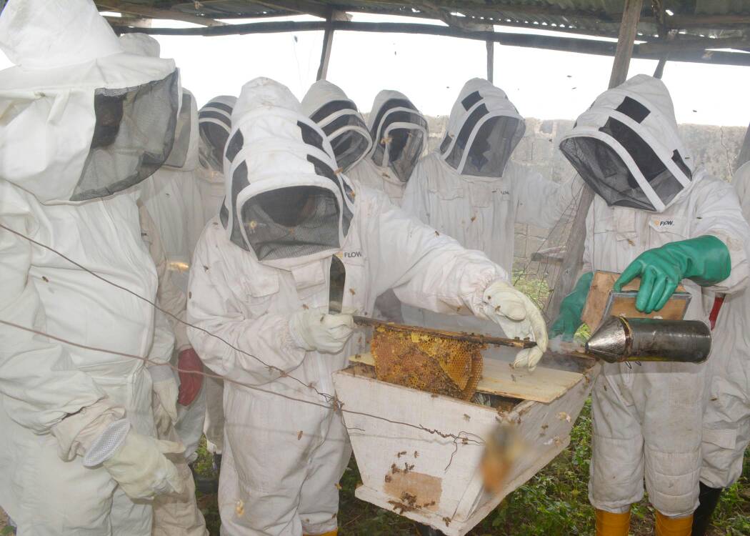FG Trains Bee Farmers on Honey Export to Europe