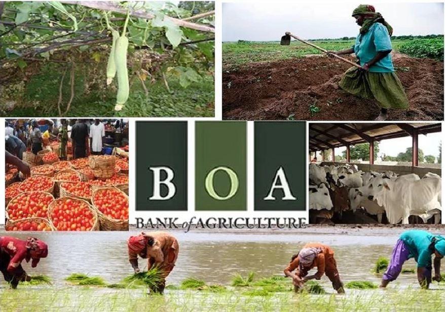 Bank of Agric to Give Farmers Loans at 7% Interest Rate