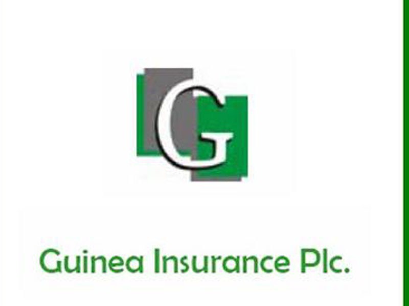 Guinea Insurance Seeks More Time to File FY 2018, Q1 2019 Results