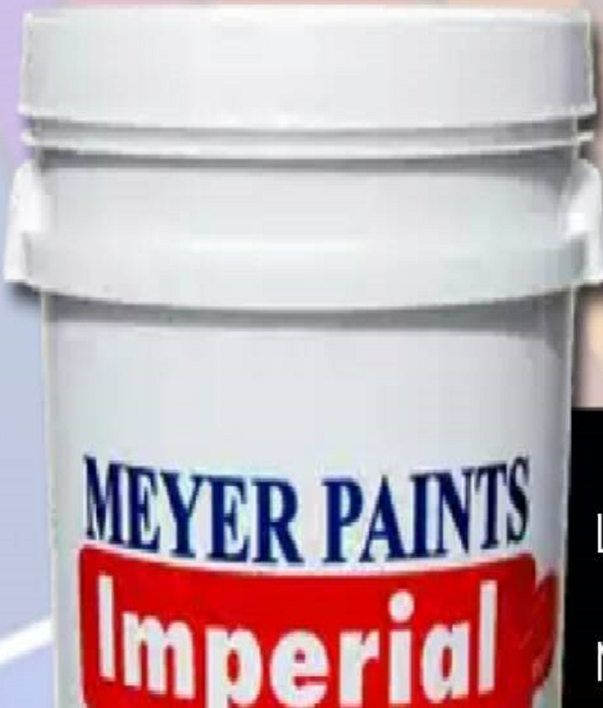 meyer paints plc