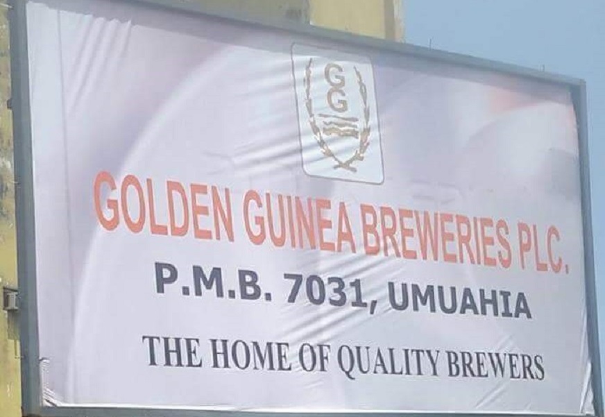 golden guinea breweries resume