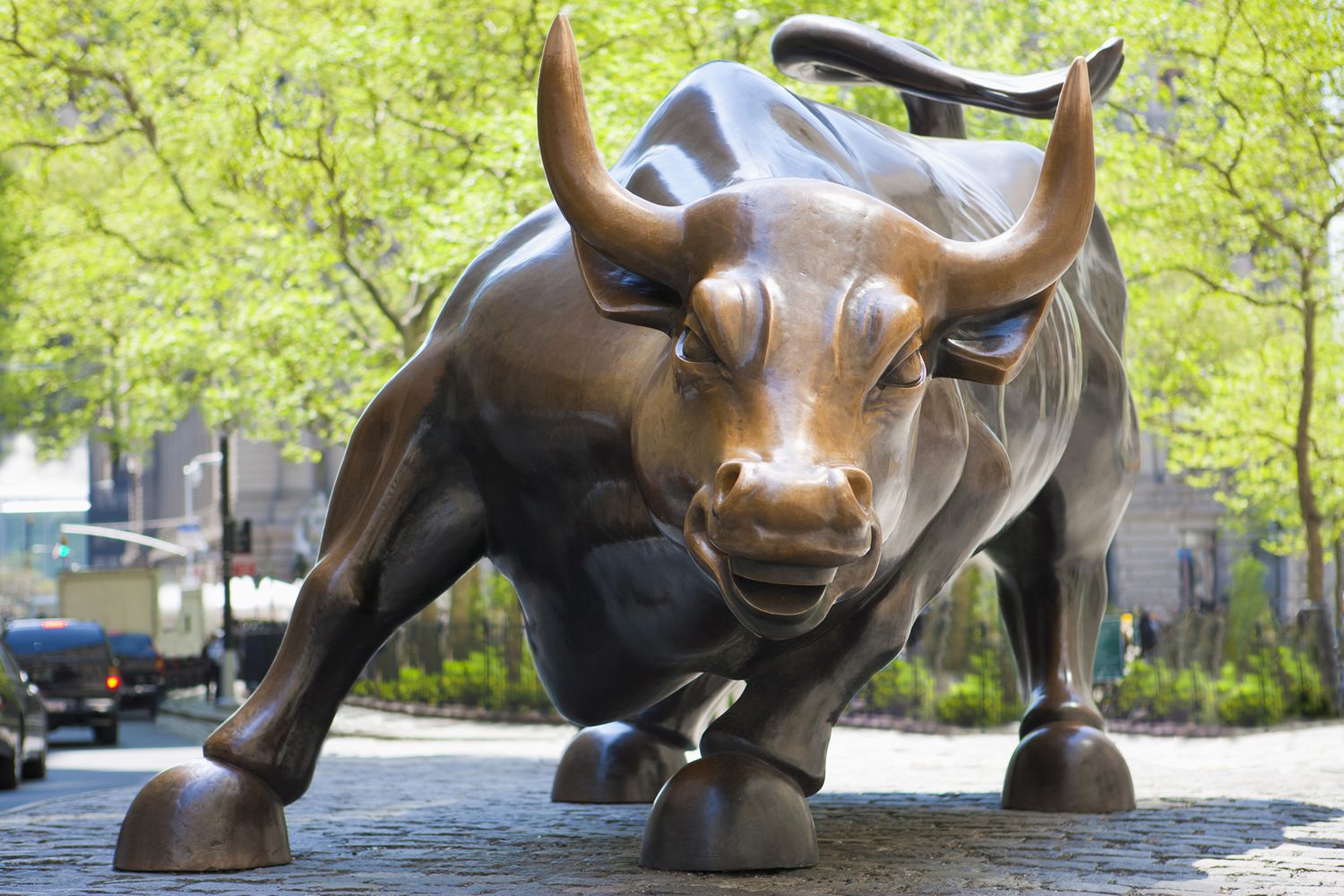 stock market bull