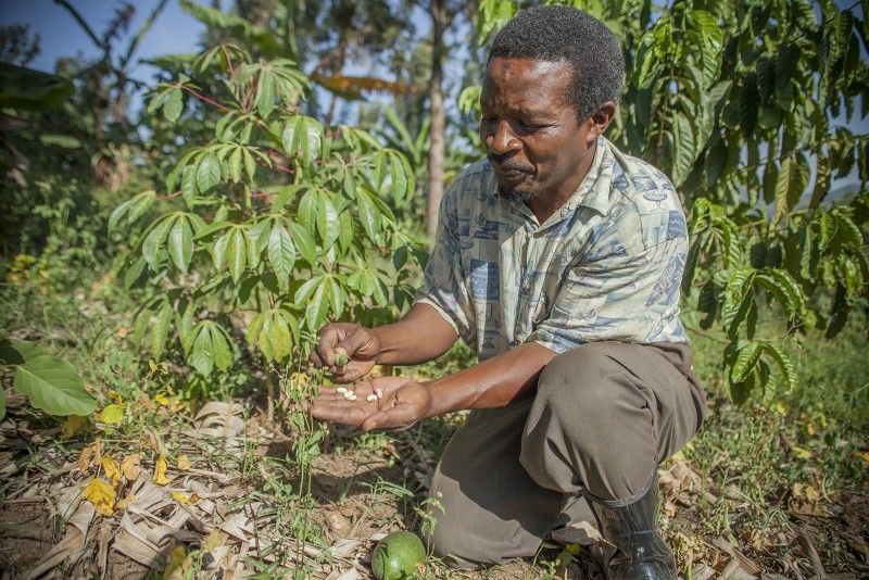 Wefarm Smallholder Agricultural Ecosystem