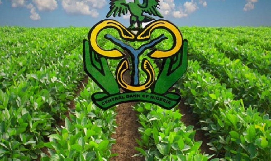 CBN Relies on Manufacturing, Agric Sectors to Jump-Start Economy | Business  Post Nigeria