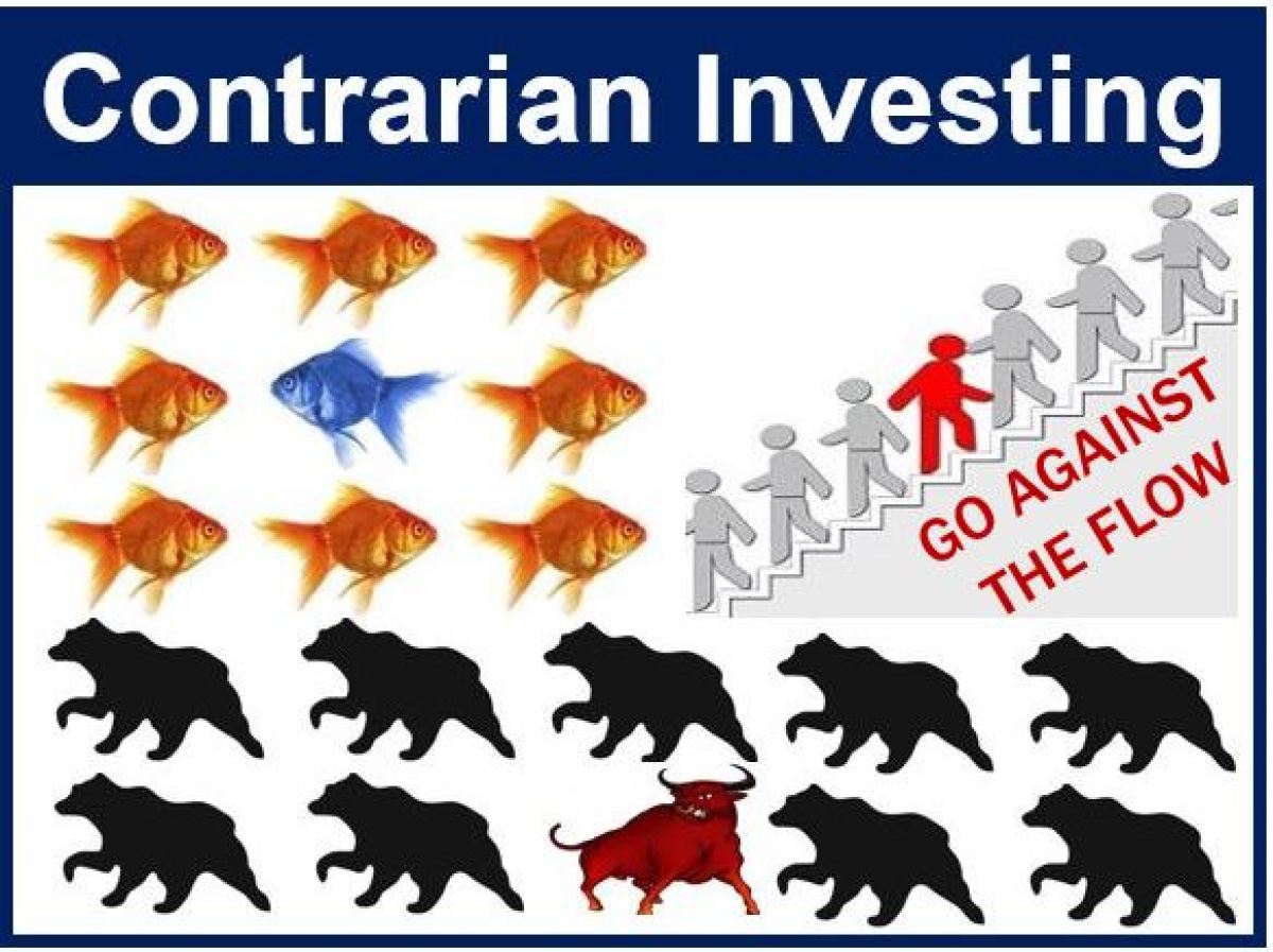 Contrarian Investing