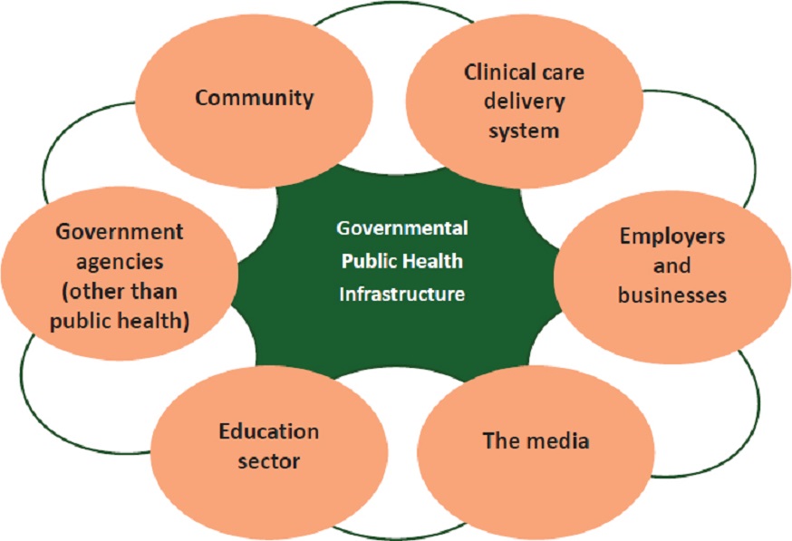 public health delivery model