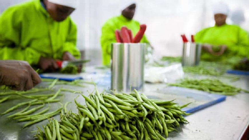 agro-processing companies