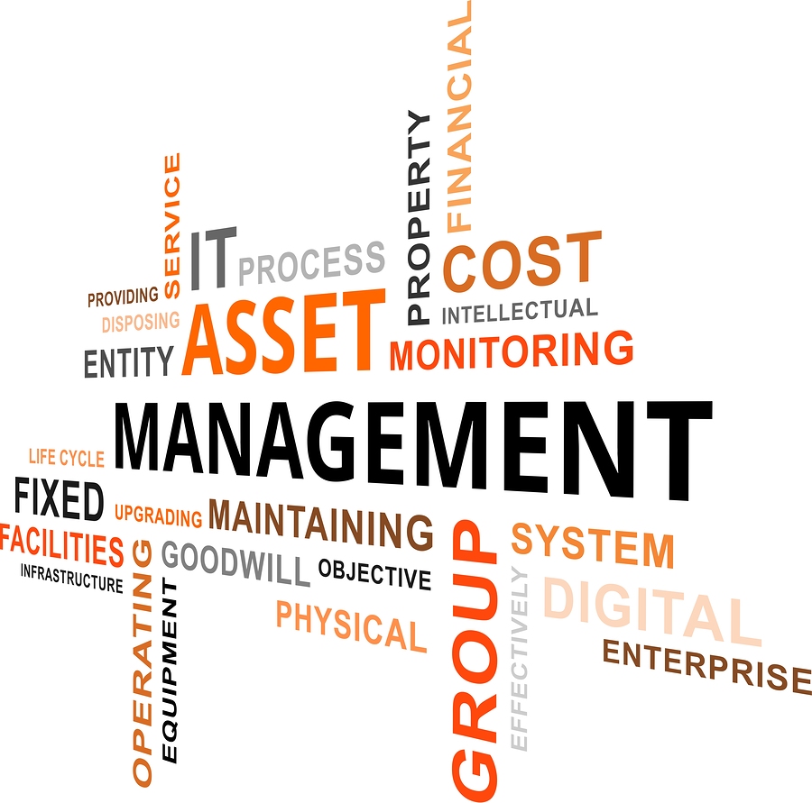 Asset Management in Nigeria