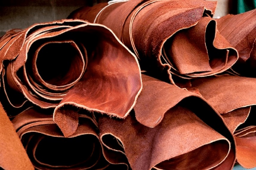 Leather Industry