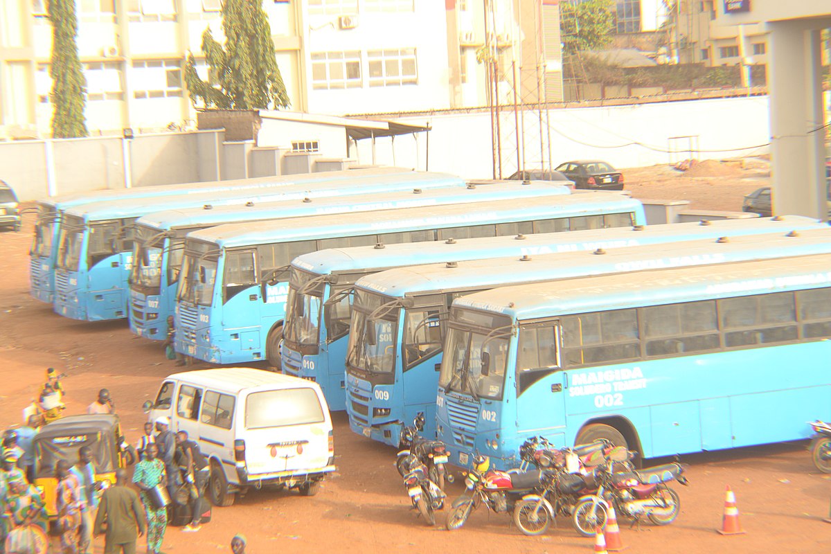 Mass Transit Buses