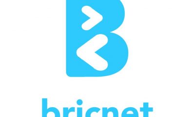 Briclinks financial results