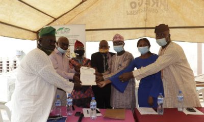 Imasayi Cashew Plant