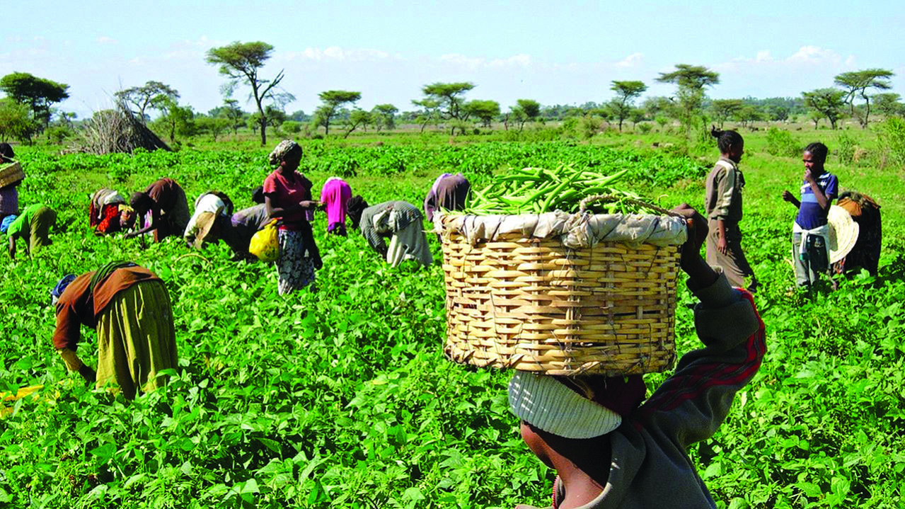 Farmers for the Future