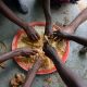 Global Food Poverty