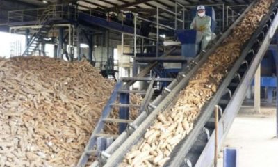 Cassava Processing Factory