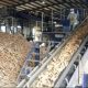 Cassava Processing Factory