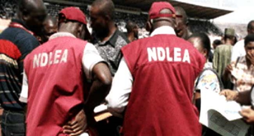 Drug Dealers NDLEA